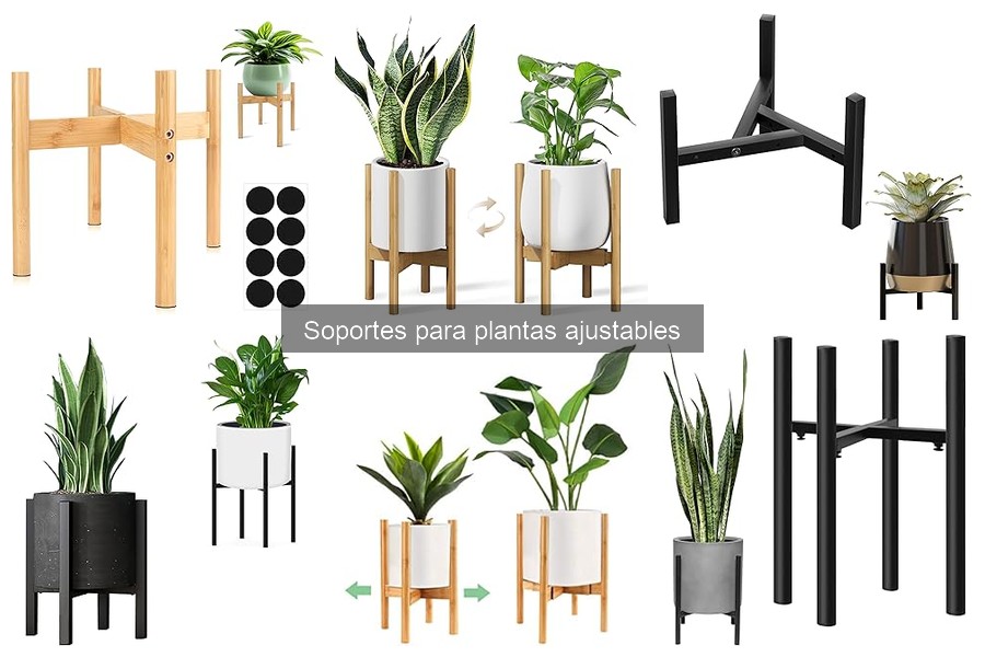 Guía de compra de soportes ajustables para plantas