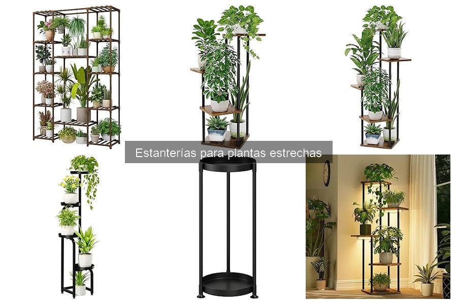 Guía de compra: estanterías para plantas estrechas