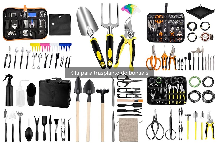 Guía de Compra: Kits para Trasplante de Bonsáis