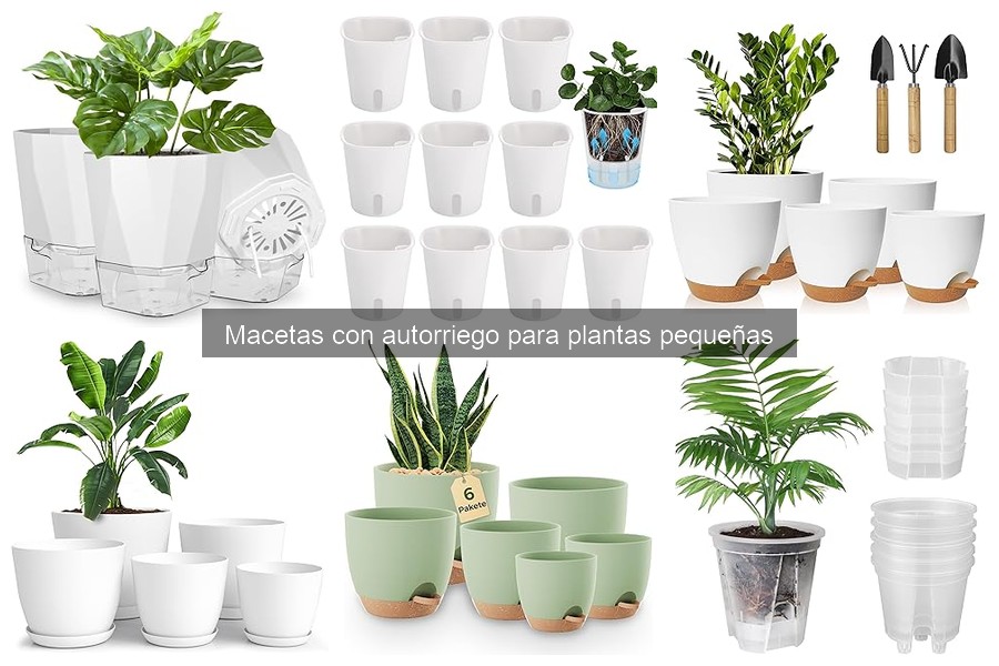 Guía de Compra: Macetas con Autorriego para Plantas Pequeñas