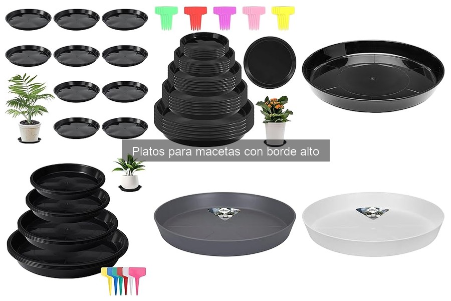 Guía de compra: Platos para macetas con borde alto