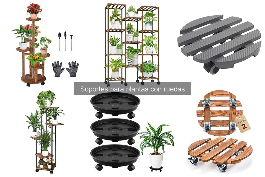 Guía de compra: Soportes para plantas con ruedas