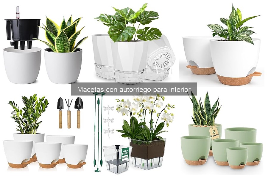 Guía de instalación de macetas con autorriego para interior