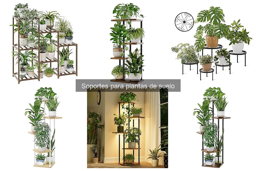 Guía de instalación de soportes para plantas de suelo