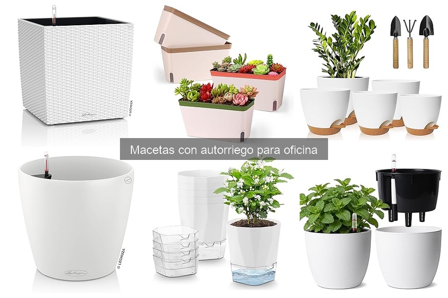 Guía de Mantenimiento para Macetas con Autorriego