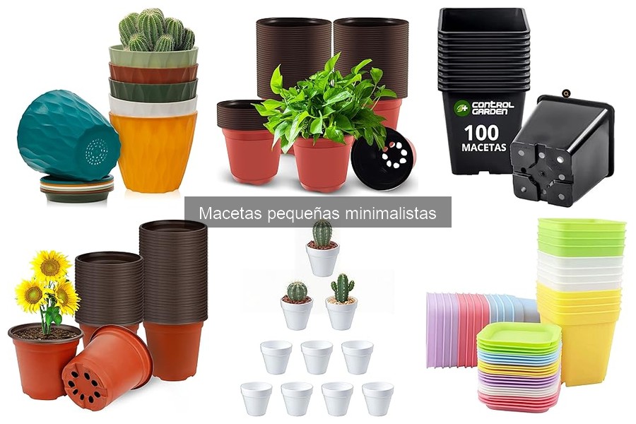 Guía de Mantenimiento para Macetas Pequeñas Minimalistas