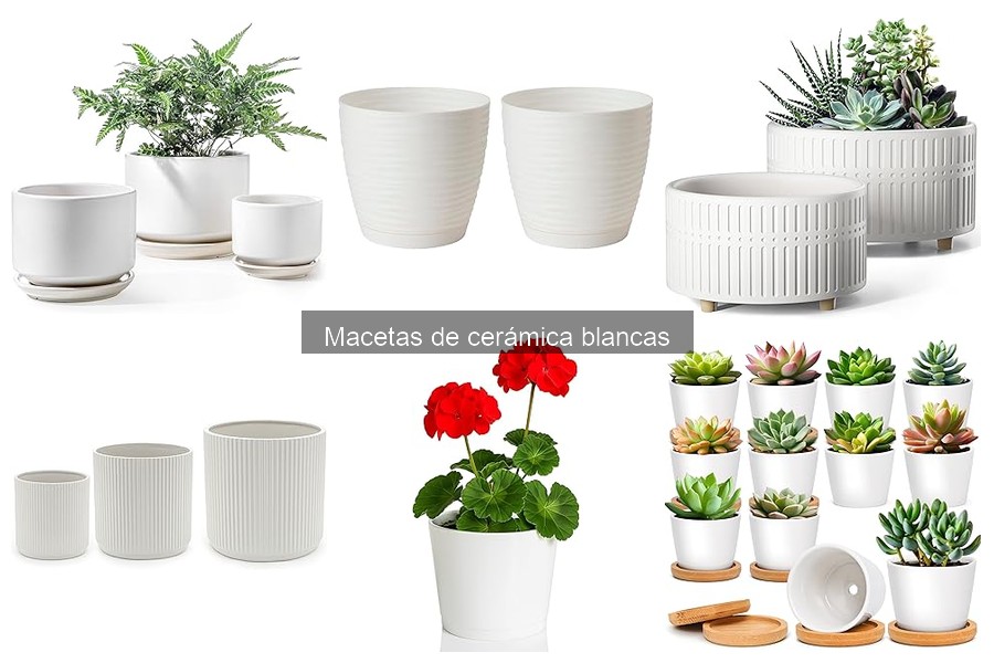 Guía para Comprar Macetas de Cerámica Blancas
