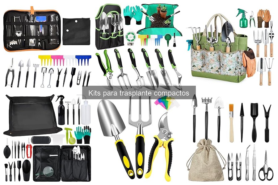 Guía para Elegir el Kit de Trasplante Compacto Ideal