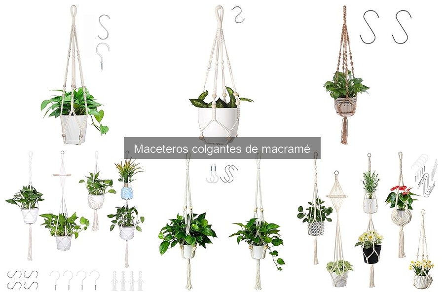 Guía para elegir el macetero colgante de macramé ideal