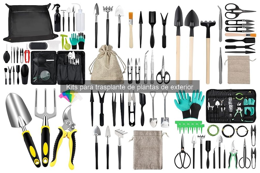 Guía para elegir el mejor kit de trasplante de plantas
