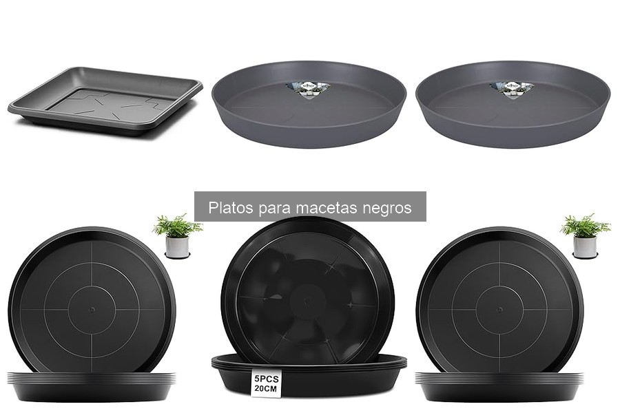 ** Guía para elegir el plato adecuado para tu maceta negra