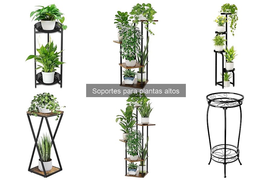 Guía para elegir el soporte adecuado para plantas altas