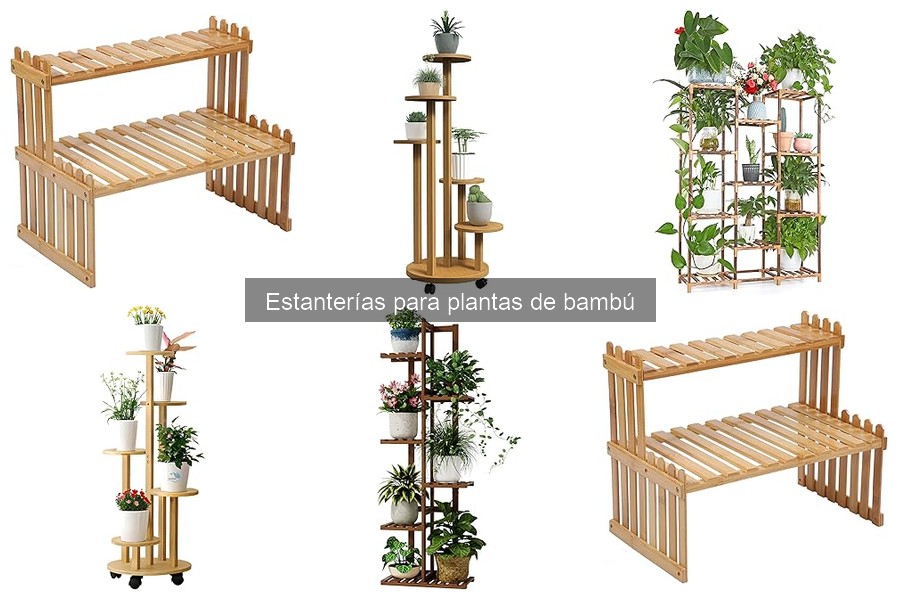 Guía para Elegir Estanterías para Plantas de Bambú