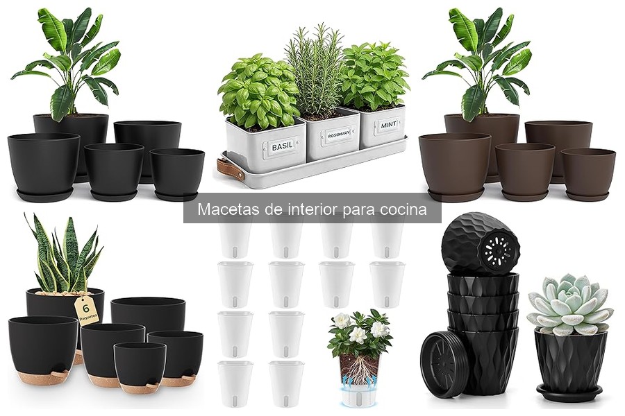 Guía para Elegir las Mejores Macetas de Interior para Cocina
