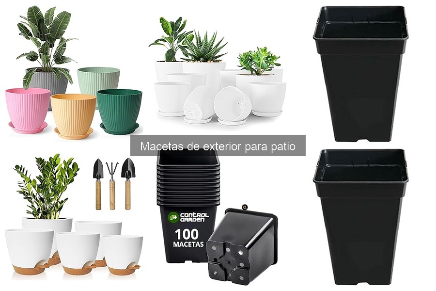 Guía para elegir macetas de exterior para tu patio