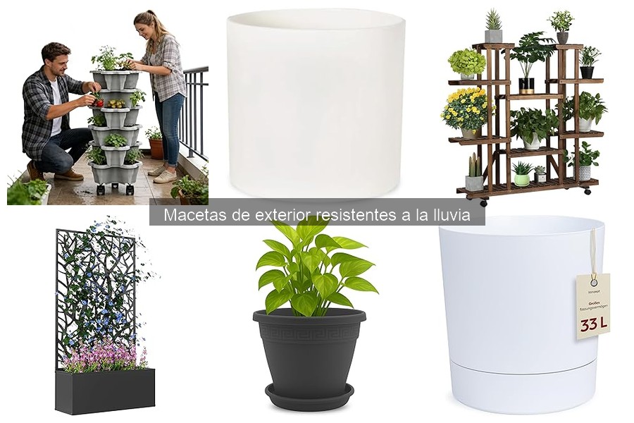 Guía para elegir macetas de exterior resistentes a la lluvia