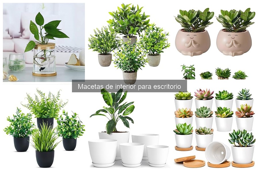 Guía para Elegir Macetas de Interior para Escritorio