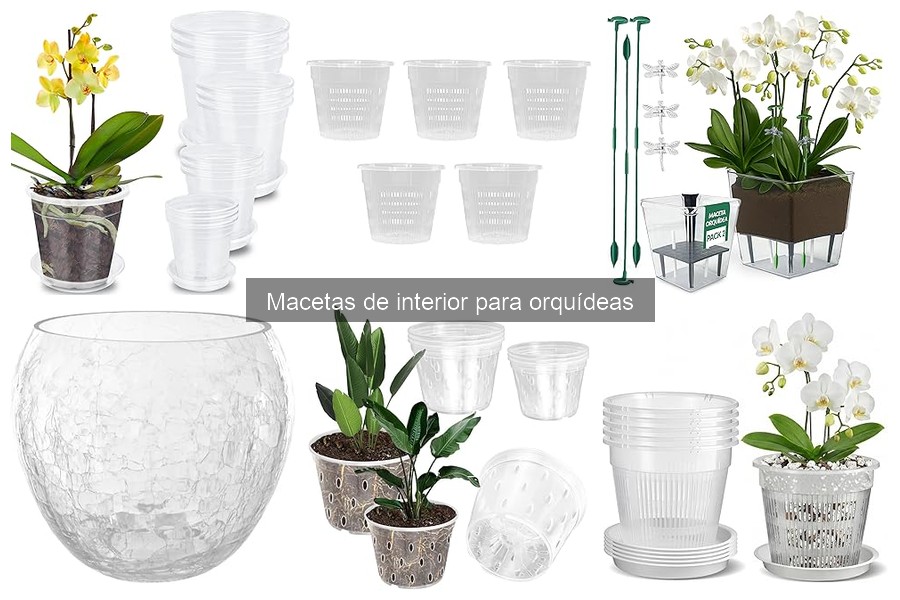 Guía para elegir macetas de interior para orquídeas