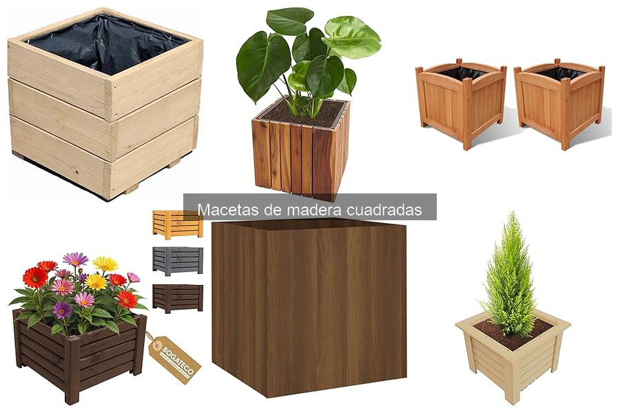 Guía para Elegir Macetas de Madera Cuadradas Efectivas