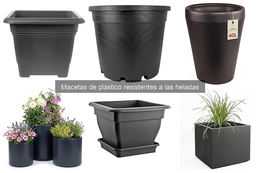 Guía para elegir macetas de plástico resistentes a las heladas