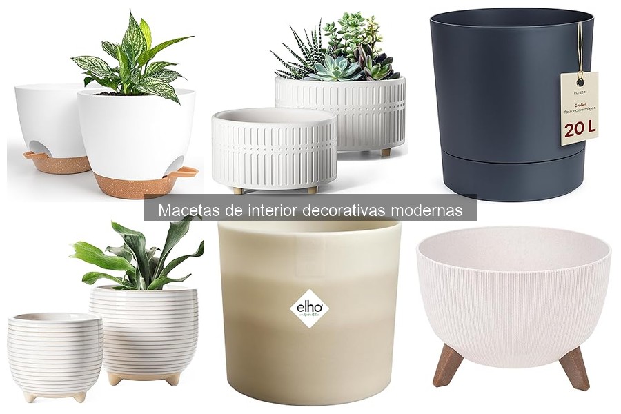 Guía para elegir macetas decorativas modernas para interiores