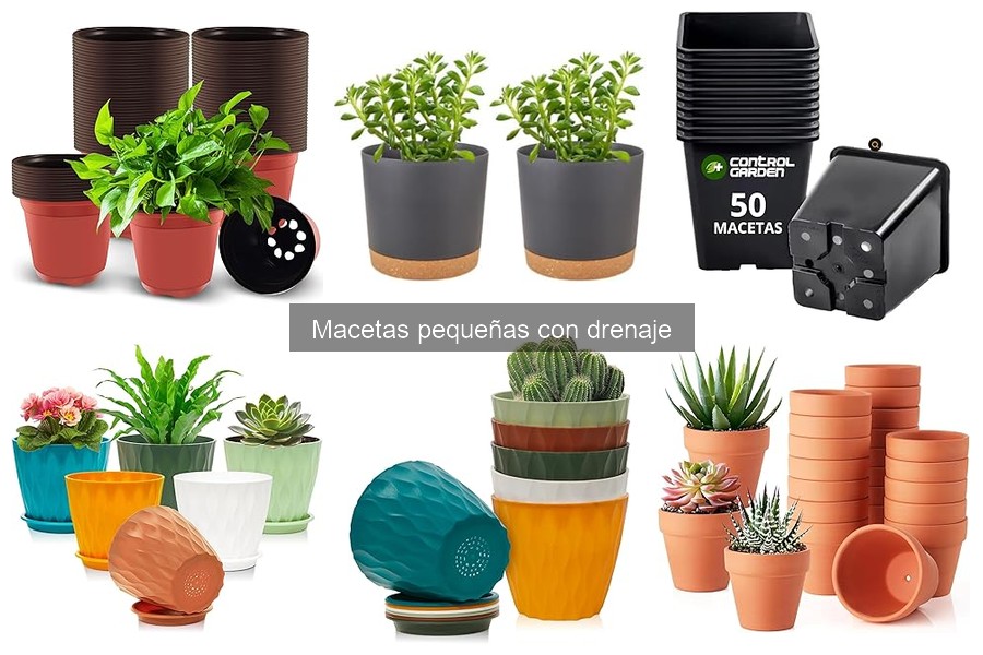 Guía para Elegir Macetas Pequeñas con Drenaje Efectivo