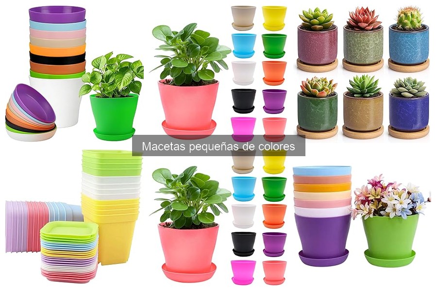 Guía para elegir macetas pequeñas de colores