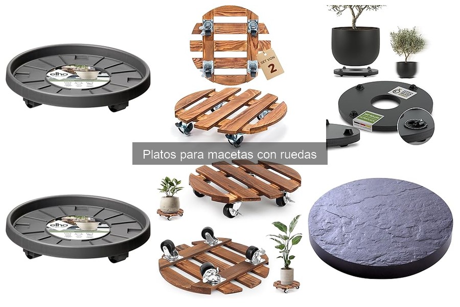 Guía para Elegir Platos para Macetas con Ruedas
