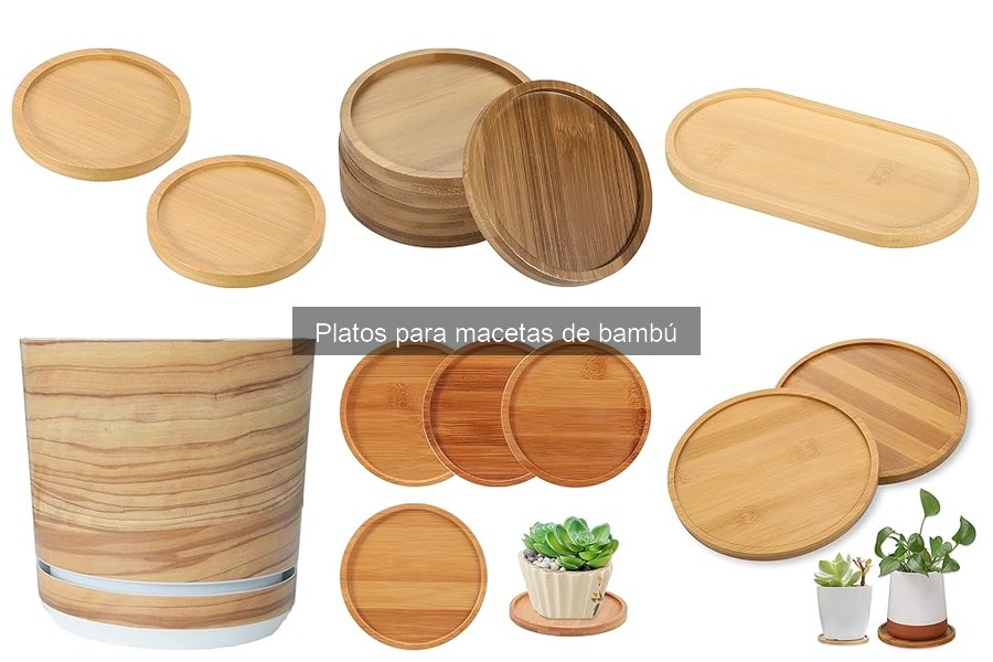 Guía para Elegir Platos para Macetas de Bambú
