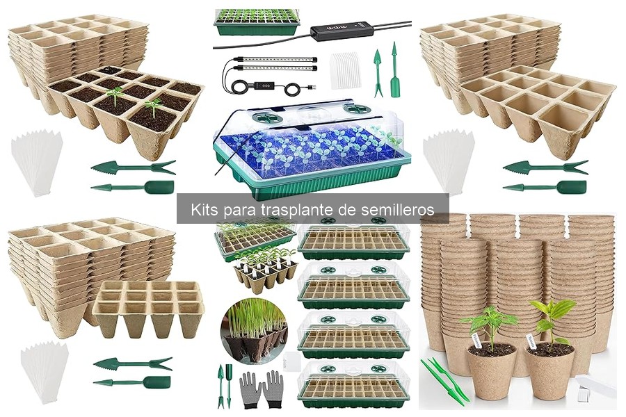 Guía para Elegir un Kit para Trasplante de Semilleros