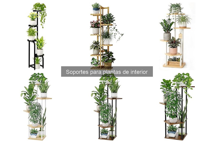 Guía sobre los soportes para plantas de interior