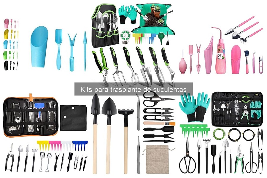 Herramientas esenciales en kits para trasplante de suculentas