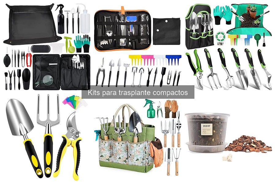 Herramientas esenciales en un kit de trasplante compacto