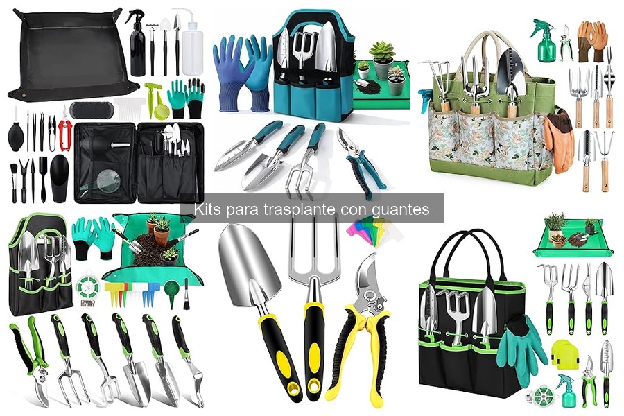 Herramientas esenciales en un kit para trasplante con guantes