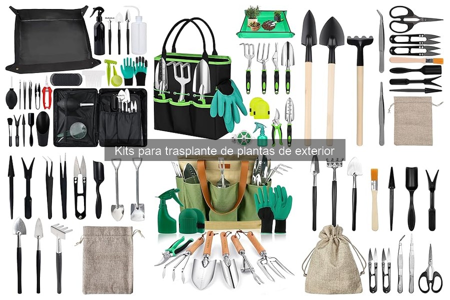 Herramientas imprescindibles en un kit de trasplante