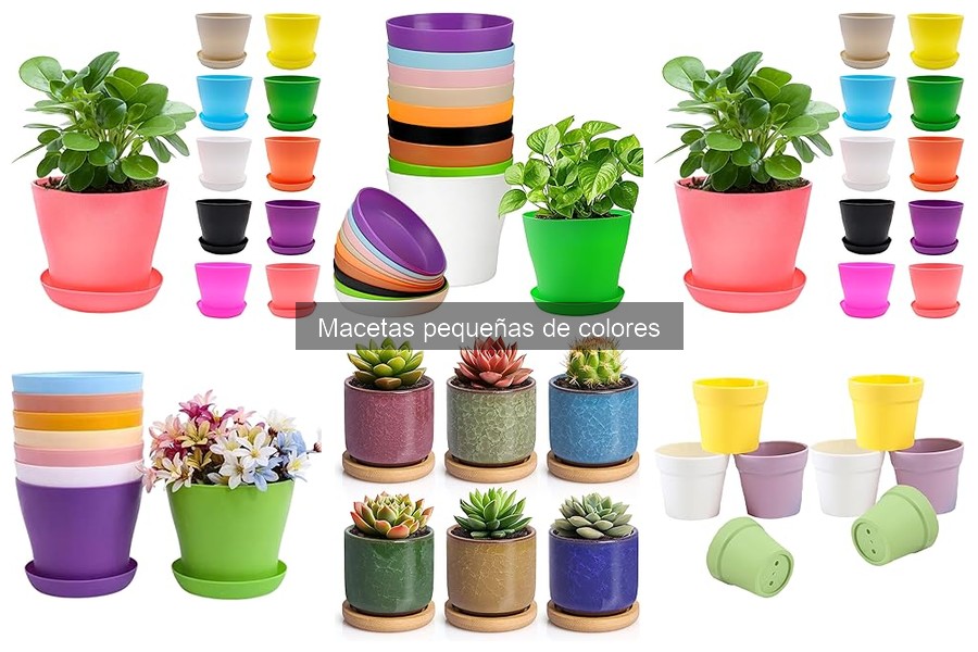 Ideas creativas con macetas pequeñas de colores para decorar