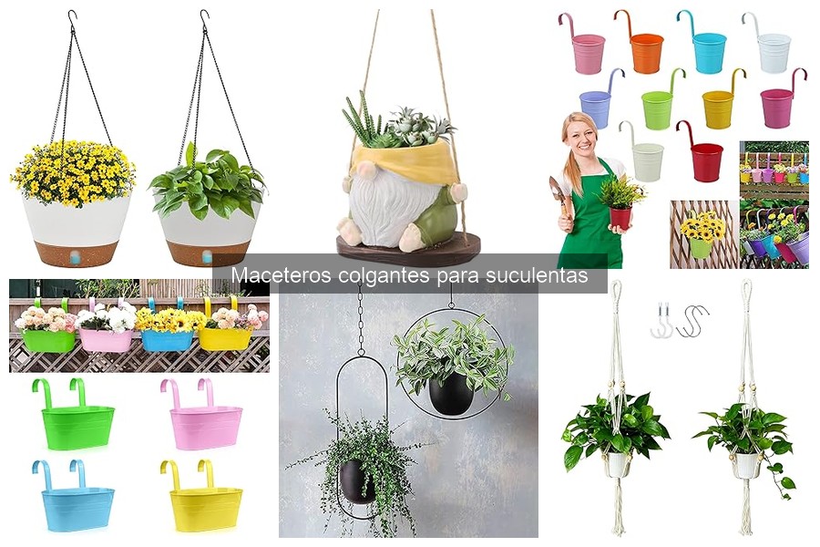 Ideas creativas con maceteros colgantes para suculentas