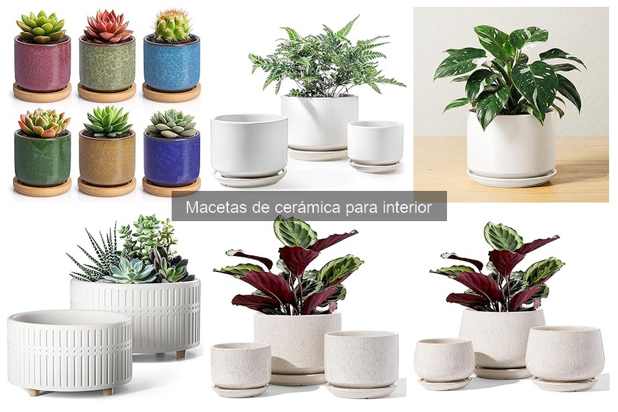 Ideas Creativas de Decoración con Macetas de Cerámica