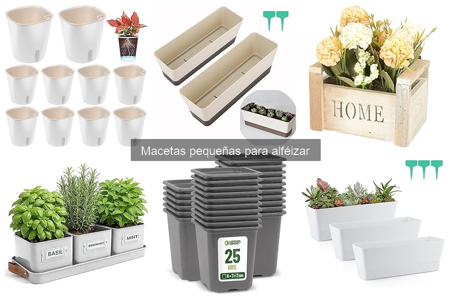 Ideas Creativas de Decoración con Macetas Pequeñas en Alféizar