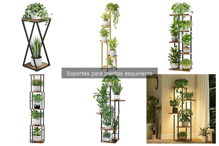 Ideas creativas de decoración con soportes para plantas esquineros