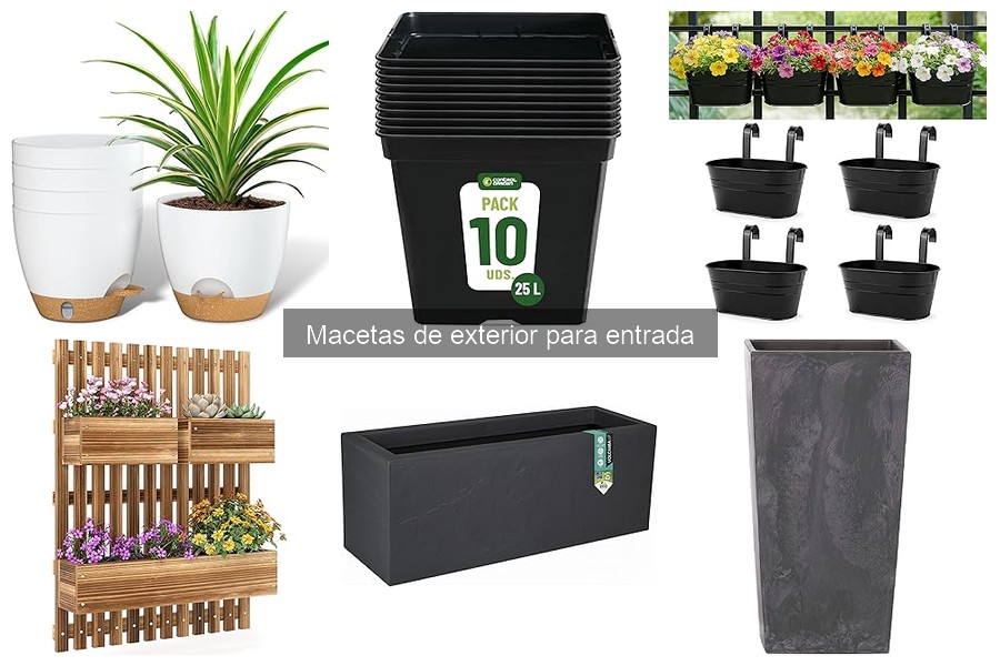 Ideas creativas de macetas de exterior para entradas