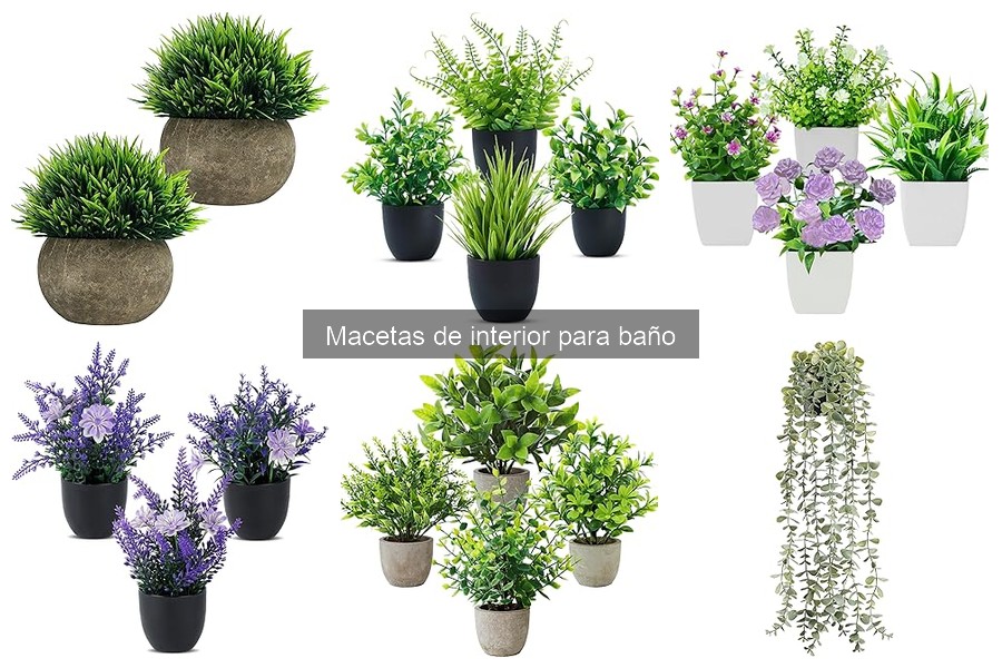 Ideas creativas de macetas de interior para el baño