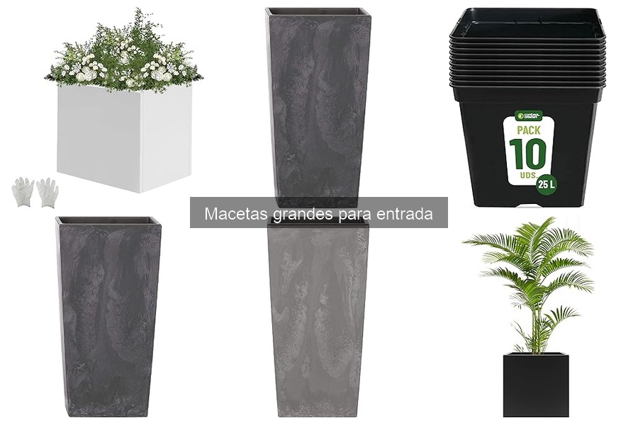 Ideas creativas de macetas grandes para decorar tu entrada