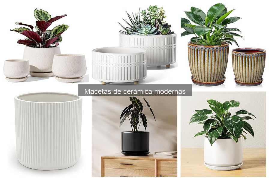 Ideas Creativas para Decorar con Macetas de Cerámica Modernas