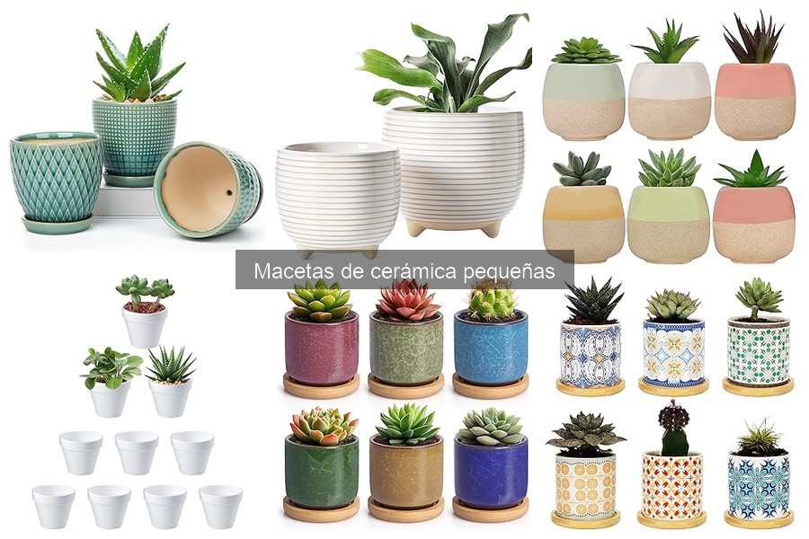 Ideas Creativas para Decorar con Macetas de Cerámica Pequeñas