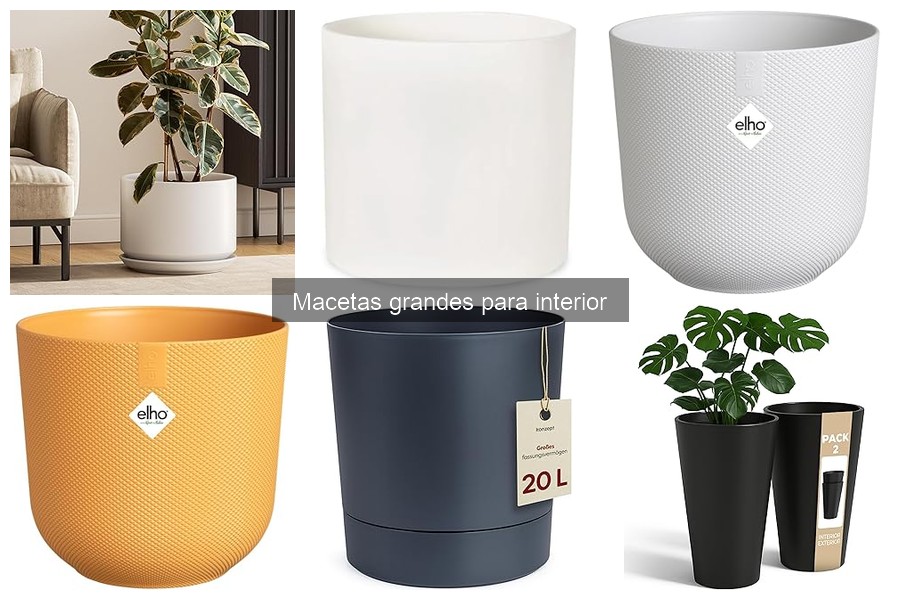 Ideas creativas para decorar con macetas grandes en interiores