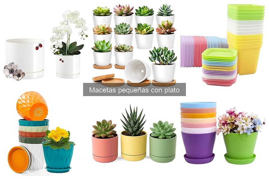 Ideas Creativas para Decorar con Macetas Pequeñas con Plato