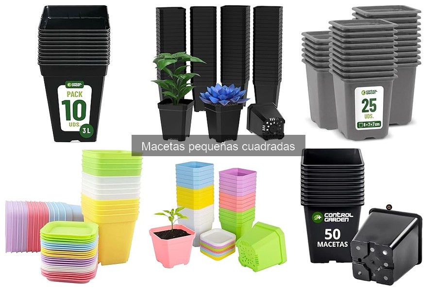 Ideas creativas para decorar con macetas pequeñas cuadradas
