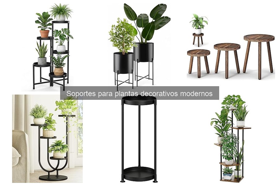 Ideas creativas para decorar con soportes para plantas modernos