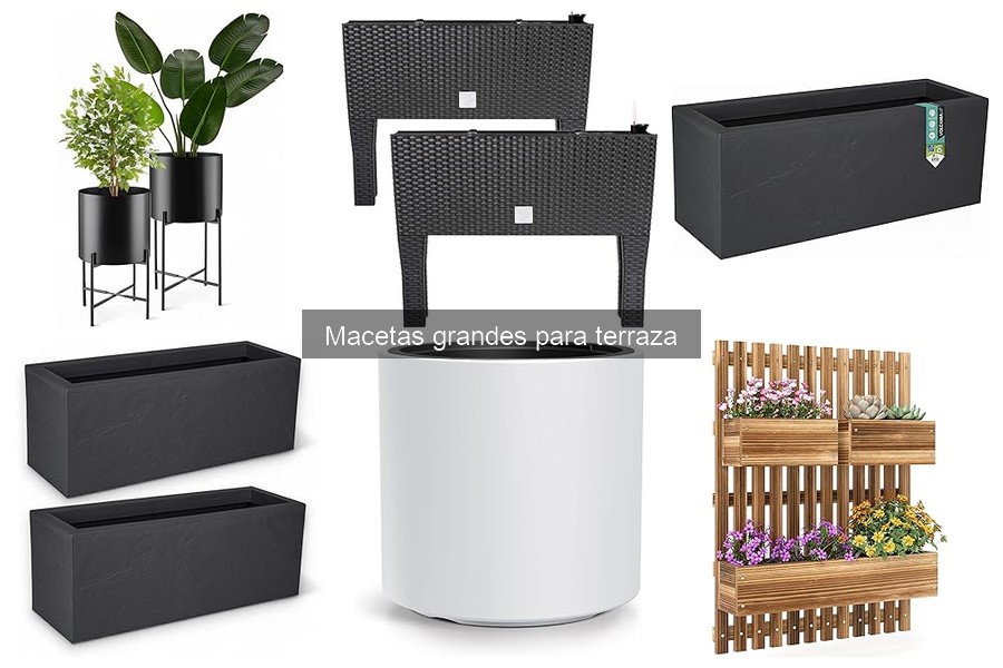 Ideas creativas para decorar tu terraza con macetas grandes